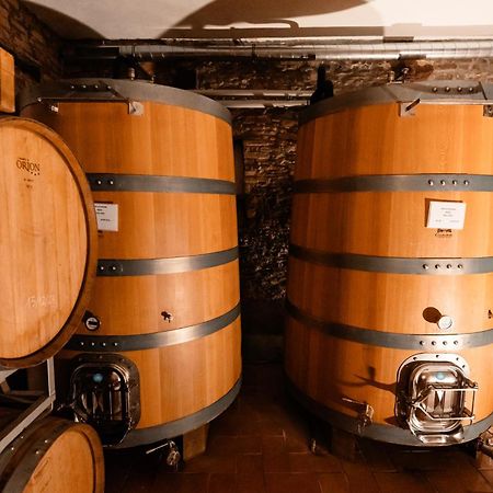 Cadgal - Tenuta La Cova Calamandrana エクステリア 写真
